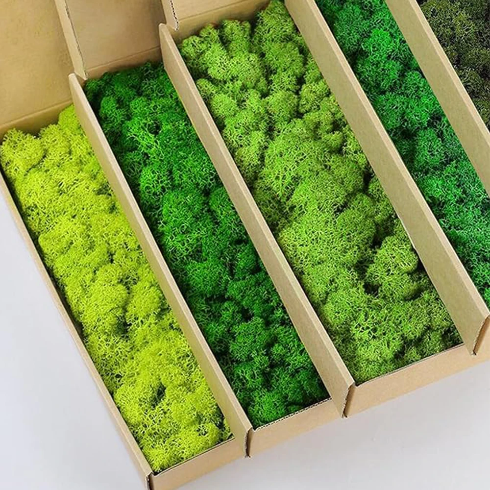 20-200g พืชสีเขียวประดิษฐ์หญ้า - Sphagnum Moss Dry บทวิจารณ์และราคา
