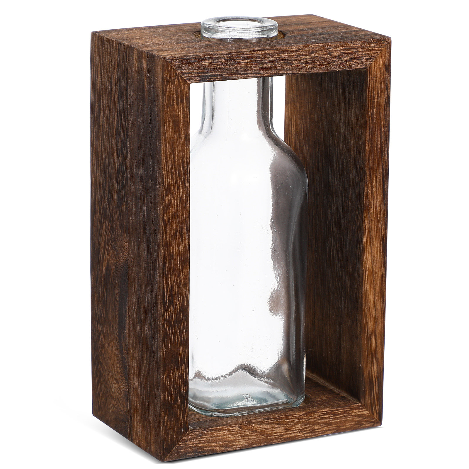 ชุดอุปกรณ์เพาะพันธุ์พืชไฮโดรโพ - Propagation Station Vase บทวิจารณ์และราคา