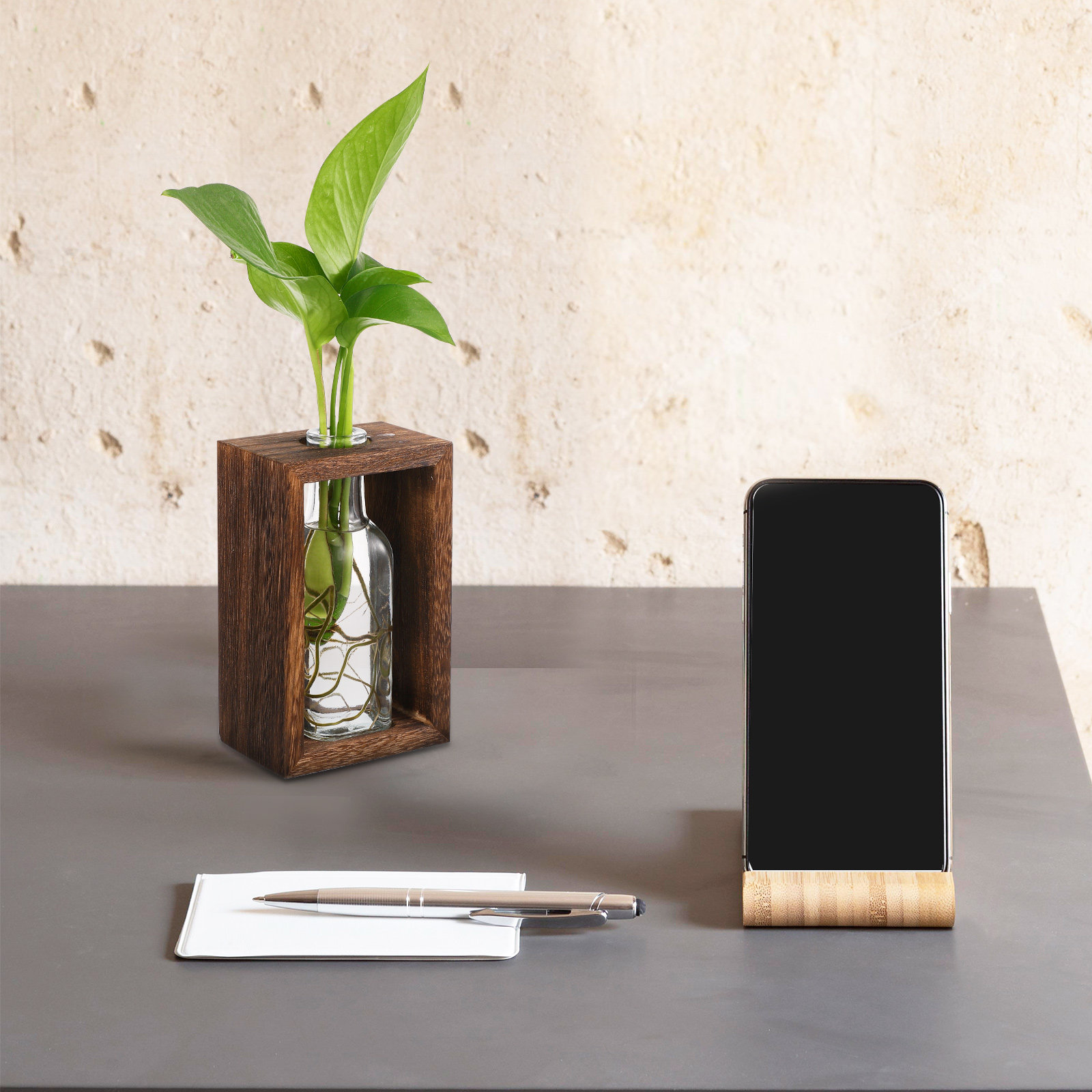 ชุดอุปกรณ์เพาะพันธุ์พืชไฮโดรโพ - Propagation Station Vase บทวิจารณ์และราคา
