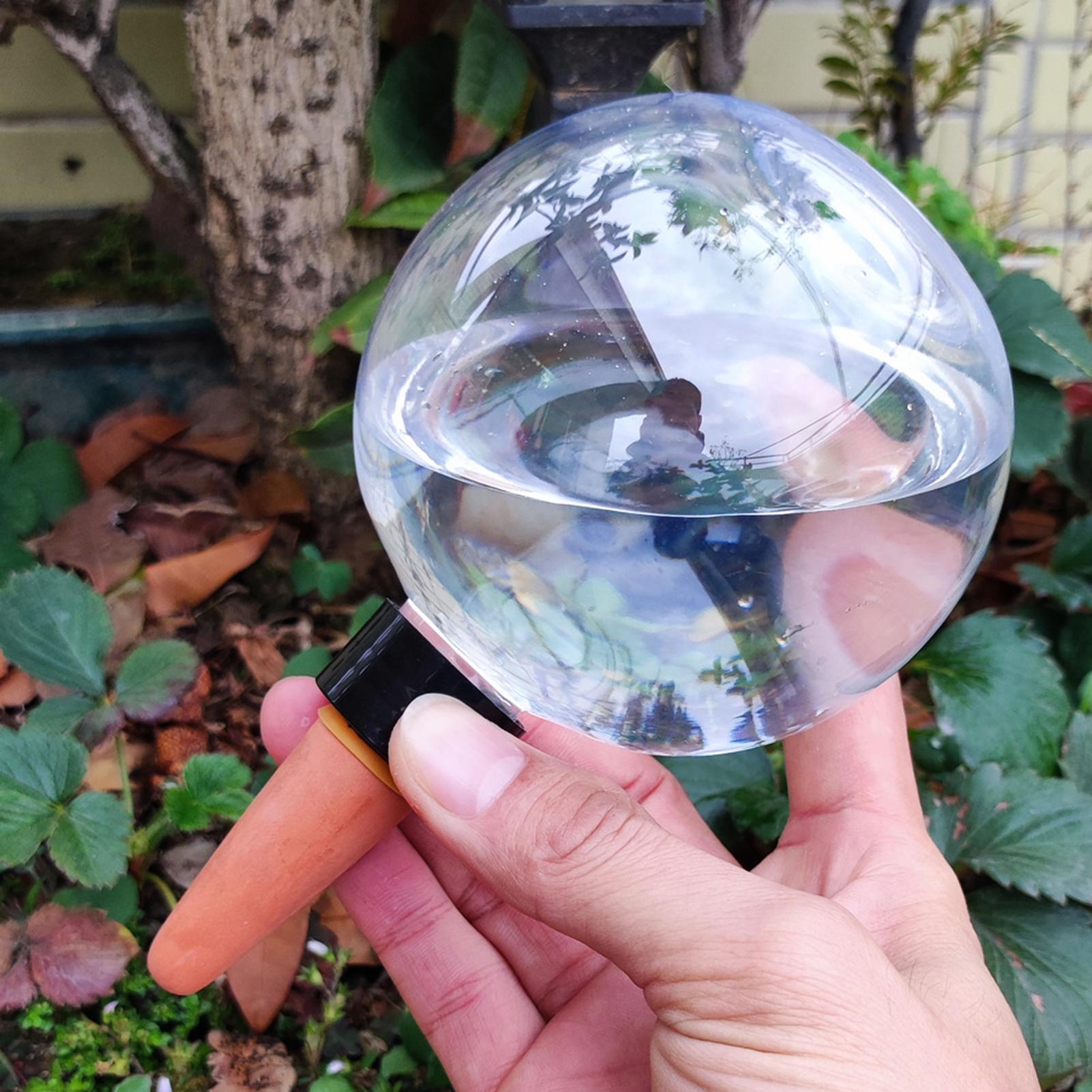 500ml รดน้ําอัตโนมัติลูกโลกในร - Self Watering Insert บทวิจารณ์และราคา