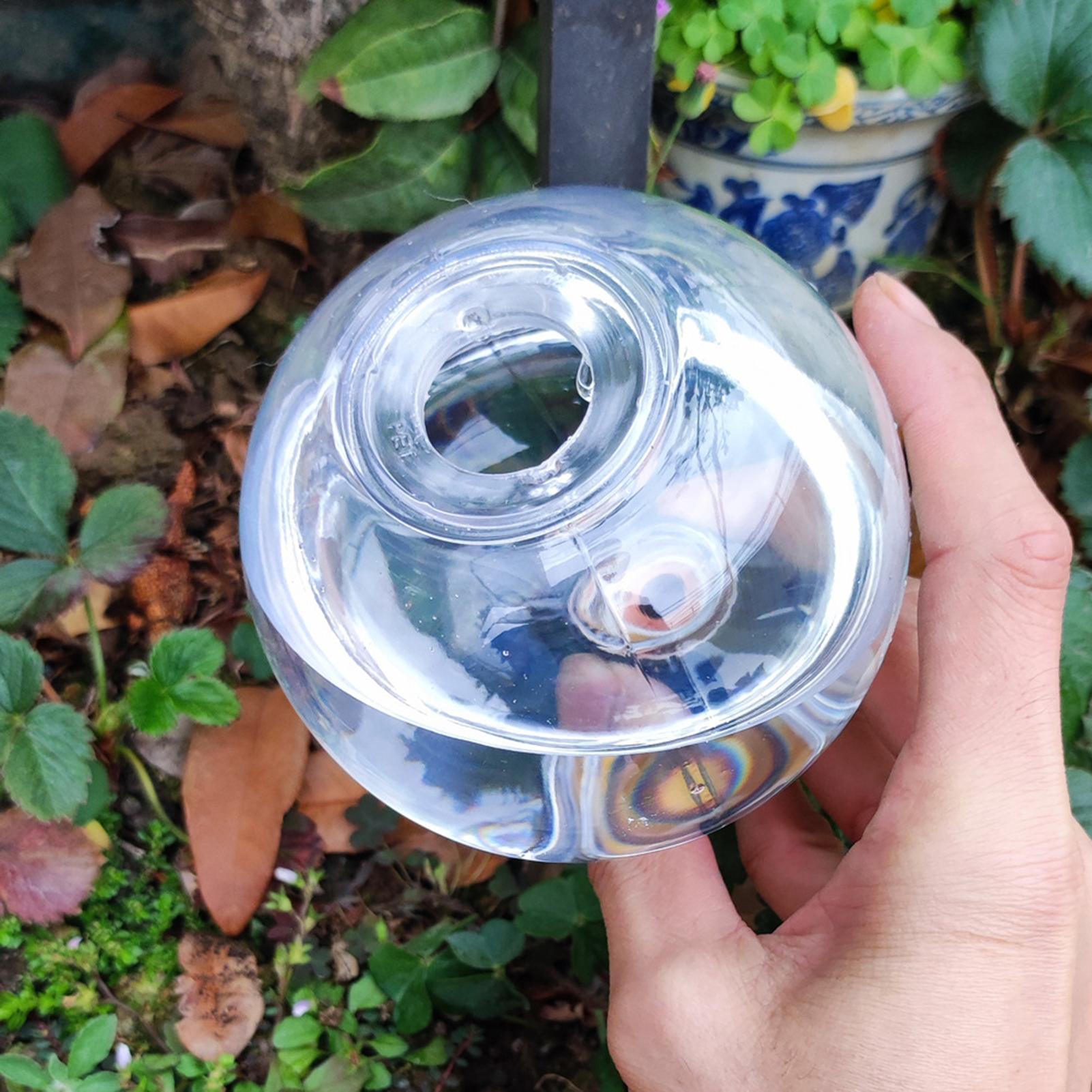 500ml รดน้ําอัตโนมัติลูกโลกในร - Self Watering Insert บทวิจารณ์และราคา