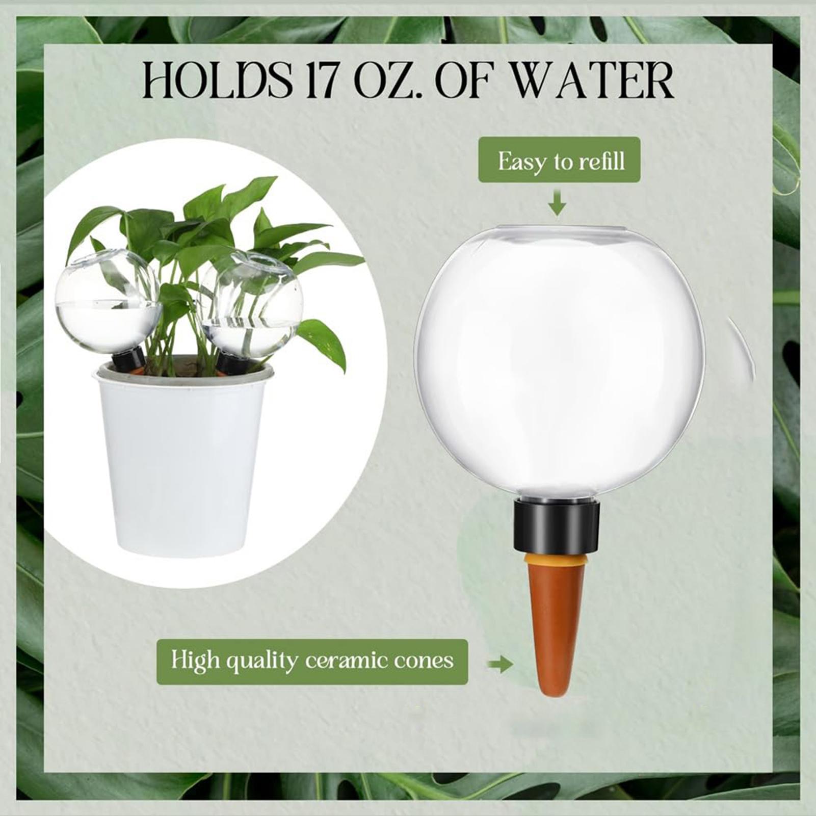500ml รดน้ําอัตโนมัติลูกโลกในร - Self Watering Insert บทวิจารณ์และราคา