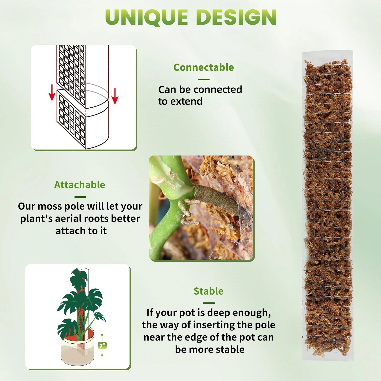 เสาพลาสติกสำหรับพืชขนาด 24 นิ้ - Sphagnum Moss Dry บทวิจารณ์และราคา