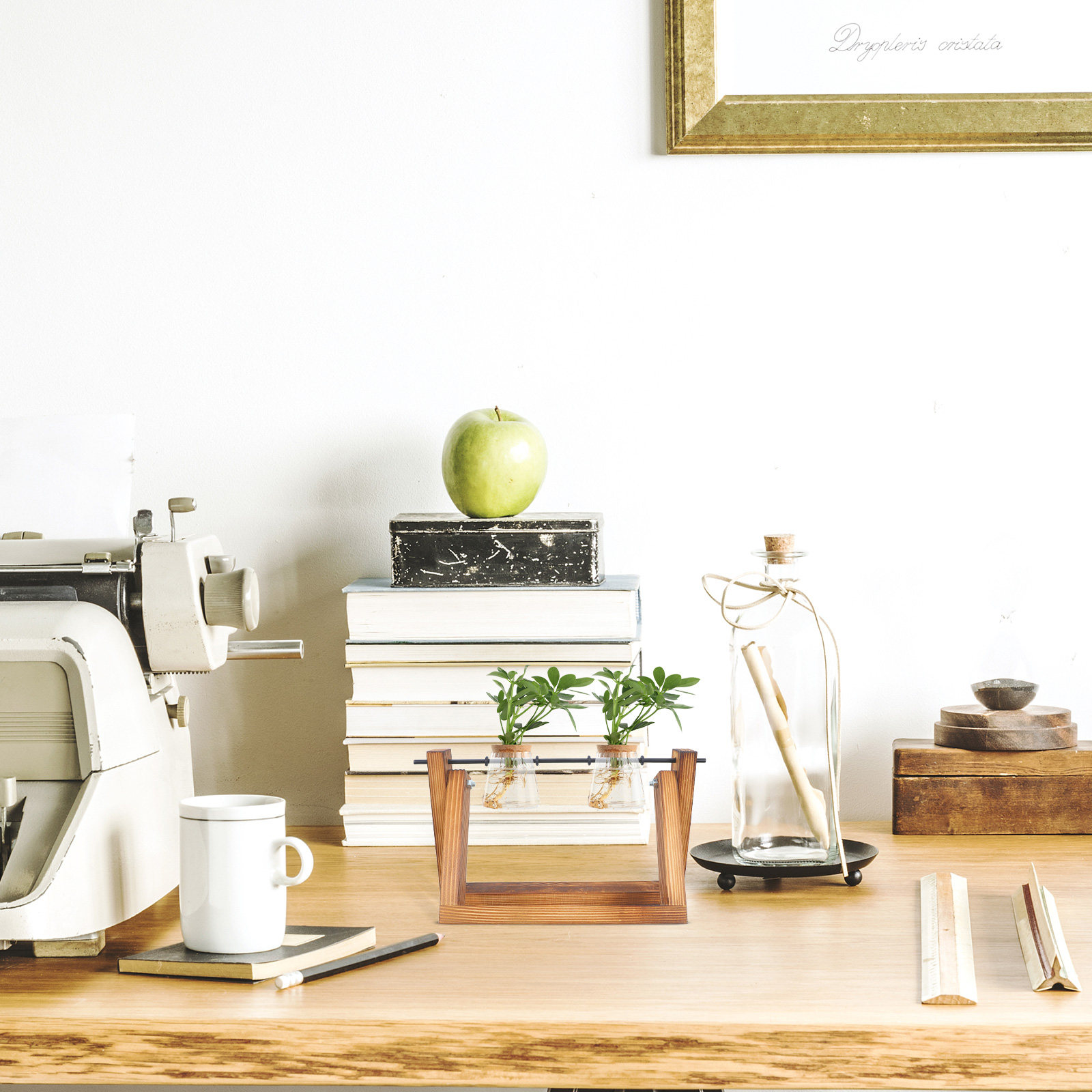 สถานีเพาะพันธุ์พืชไฮโดรโปนิกส์ - Propagation Station Vase บทวิจารณ์และราคา
