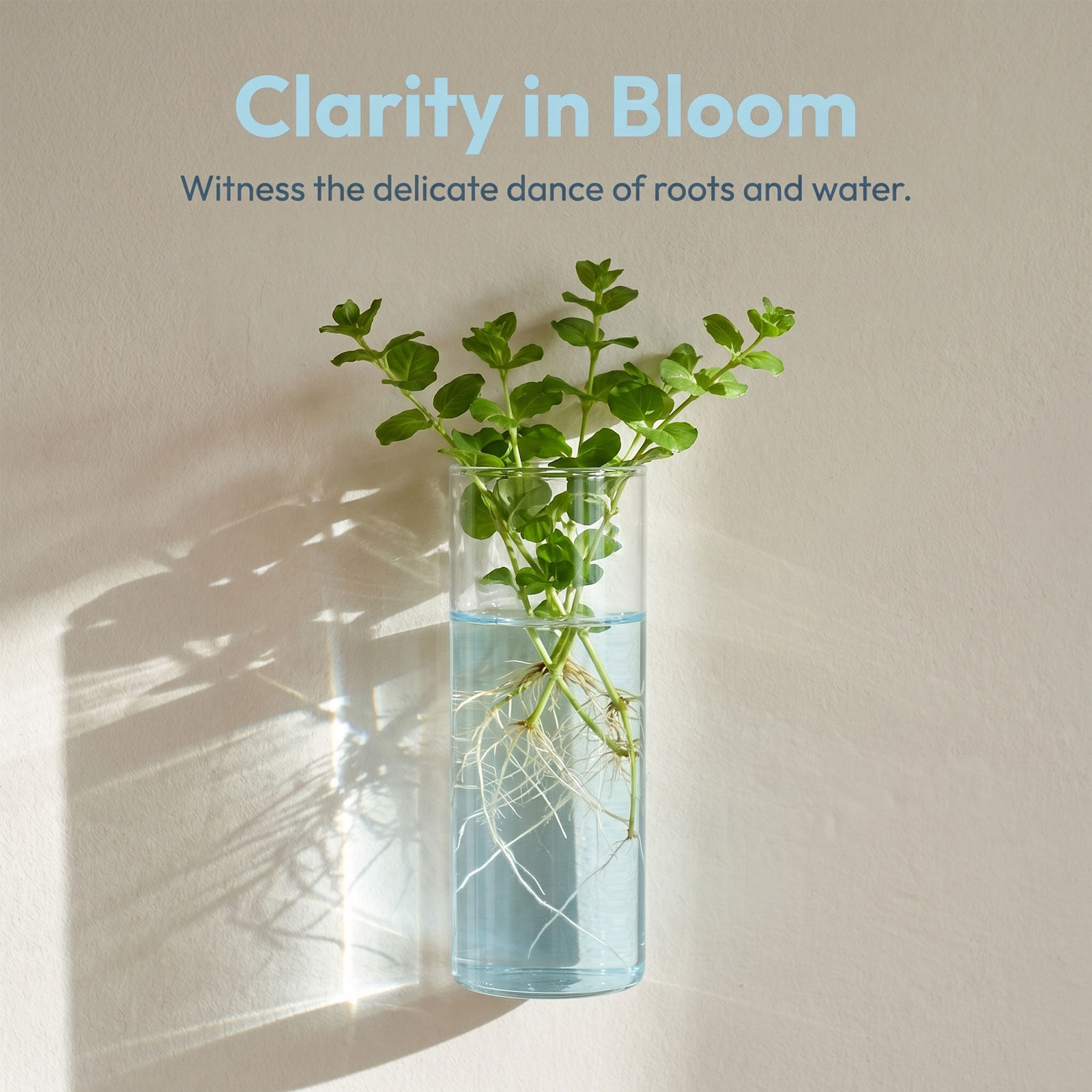 กระถางต้นไม้ติดผนังทรงกระบอก 5 - Propagation Station Vase บทวิจารณ์และราคา